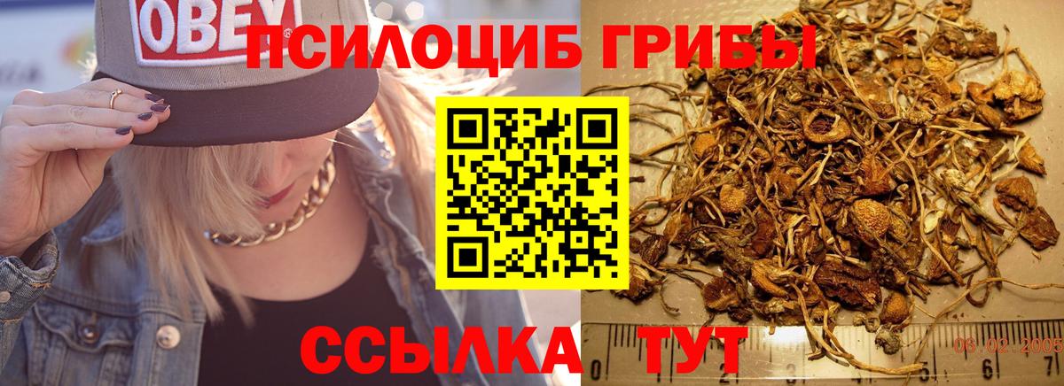 наркошоп  Вход с VPN  Железноводск  Галлюциногенные грибы GOLDEN TEACHER  Галлюциногенные грибы мицелий 